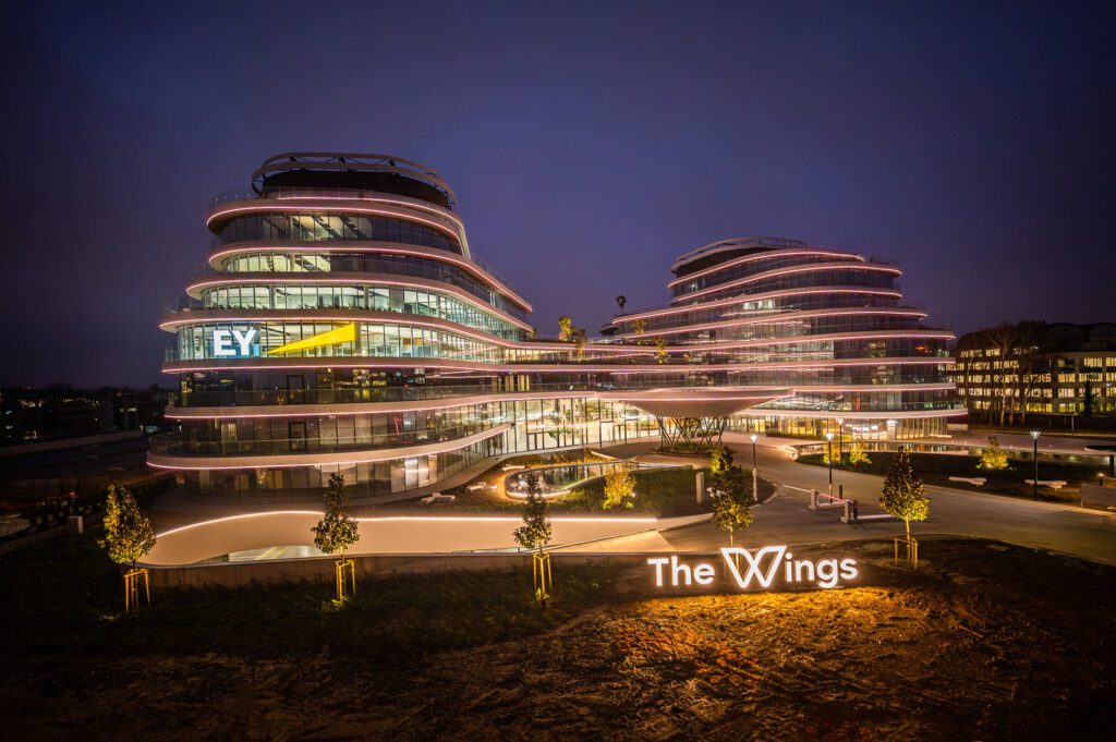 The Wings - Vivalyte Pixeline Flew Media lighting